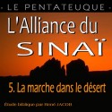 L'Alliance du Sinaï - 5. La marche dans le désert [ Nb 9-21 ]