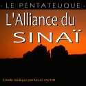 L'ENSEMBLE DE L'ALLIANCE DU SINAÏ