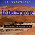 Le Deutéronome - 1. N'oublie pas ce que tu as vu et entendu [ Dt 1,1-4,43 ]